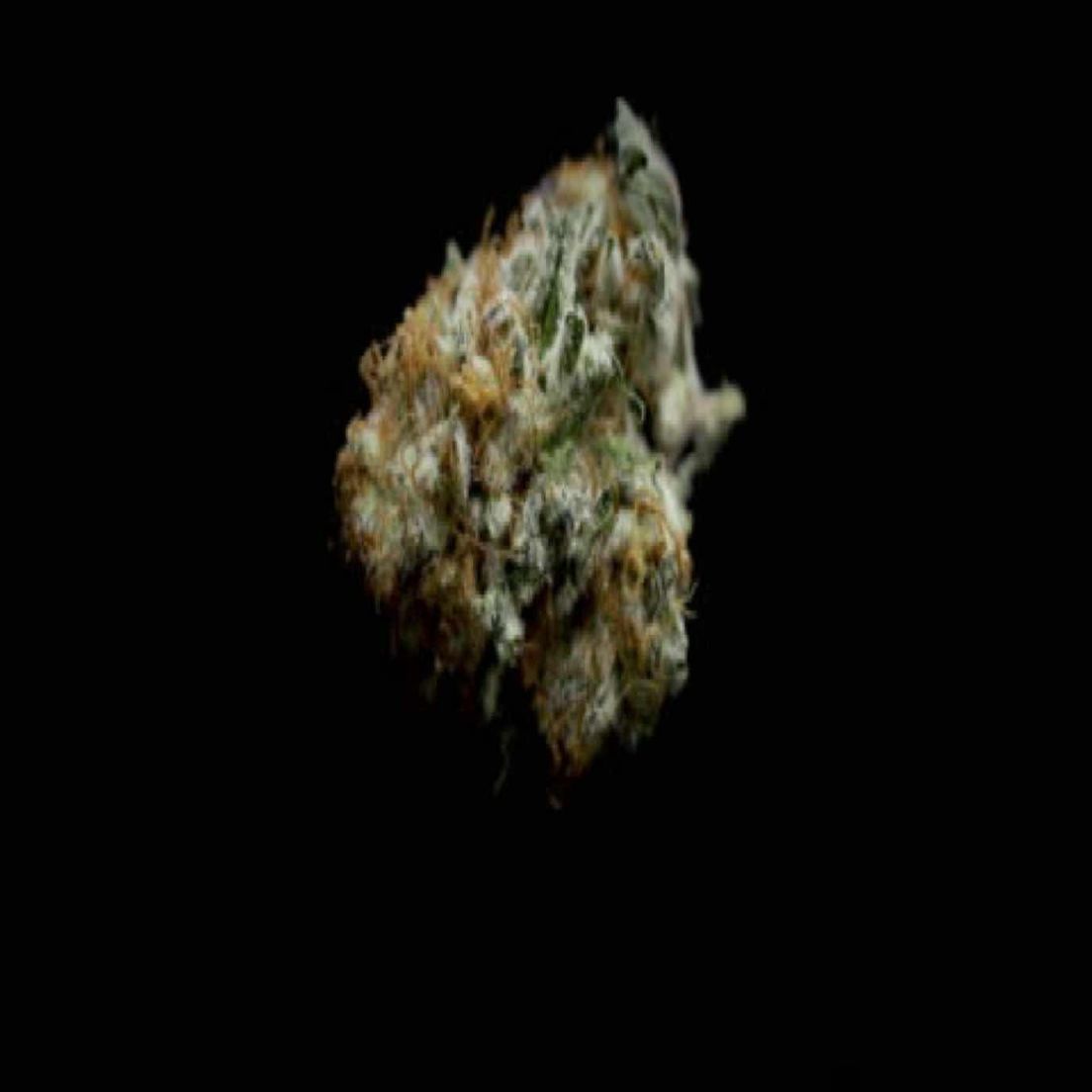 AA+ | JUNGLE MINTZ | 2 OZS FOR $100
