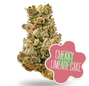 Flower- Cherry Limeade Cake 3.5g