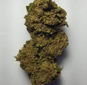 Original Glue