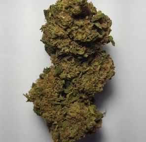 Original Glue