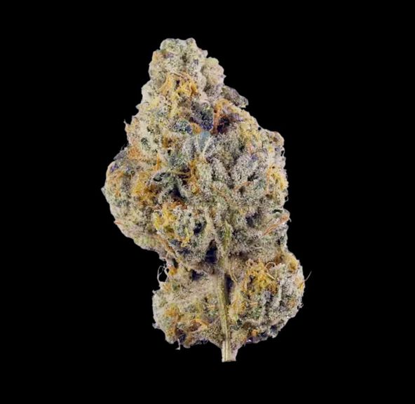 HUMBOLDT GROWERS NETWORK - ZMO 28G INDICA