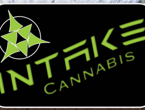 Intake Cannabis - Pod Battery