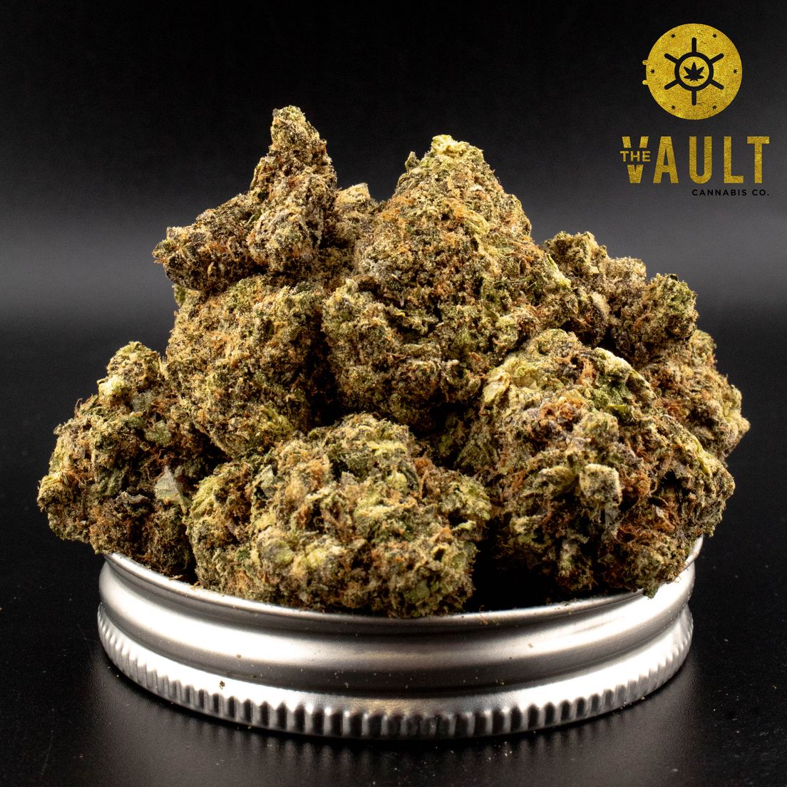 AAAA | PLATINUM ROCKSTAR