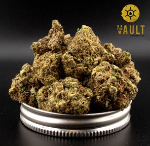 AAAA | PLATINUM ROCKSTAR