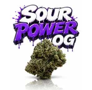 SOUR POWER OG - 14G | INDOOR FLOWER
