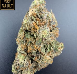 7g - VELVET HAMMER (AAAA+)