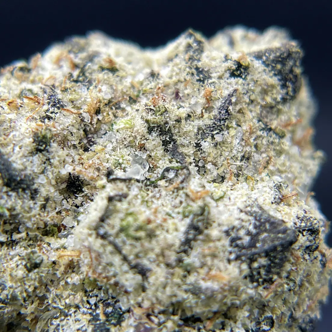 BLACK PEARL - Purple Rain - Diamond Coated Indoor Flower - 3.5G