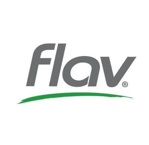 100mg Green Apple Gummy Squares - FLAV