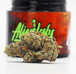 ALIEN LABS - 3.5G ATOMIC APPLE