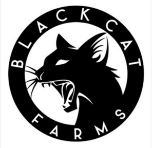 Cannalope Haze Flower *$35 oz!