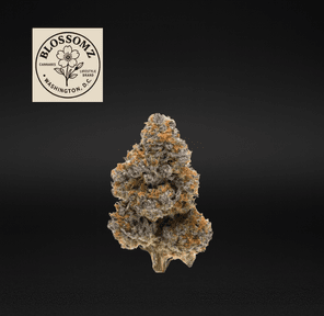 Blossomz | Cement Shoes - Flower | 3.5g | Indica-Hybrid