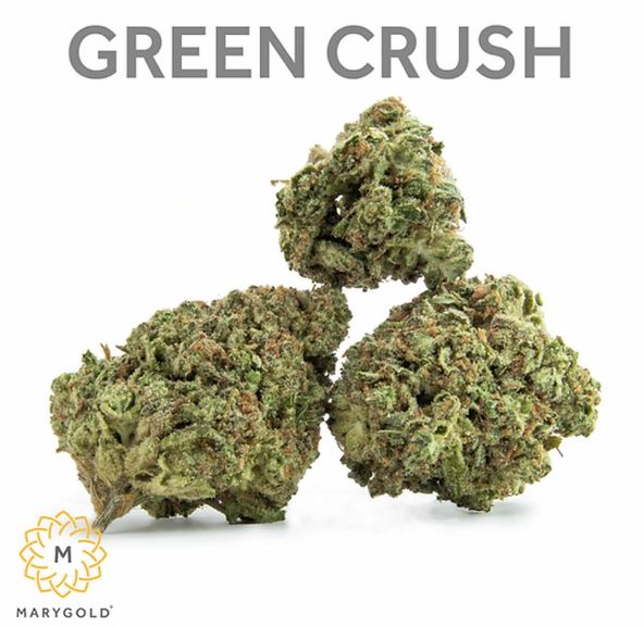 Marygold - Flower - Green Crush - 3.5g