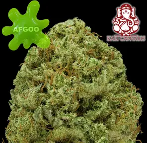 Kali Goo AFGOO