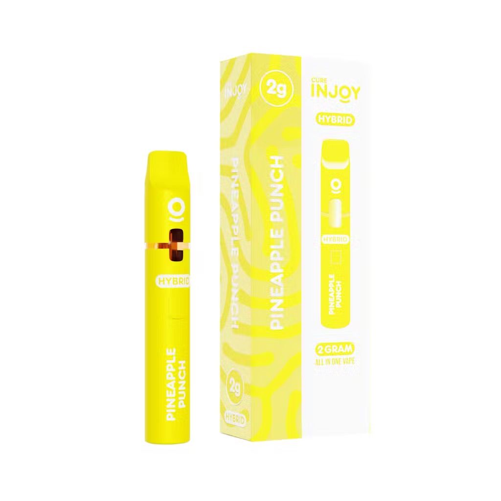 Pineapple Punch - 2G Disposable - Cure Injoy