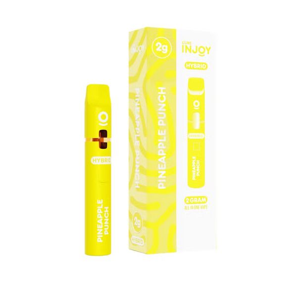 Pineapple Punch - 2G Disposable - Cure Injoy