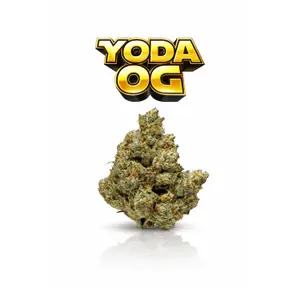 YODA OG - 14G | INDOOR FLOWER