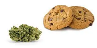 100mg Chocolate Chip Cookie - TB