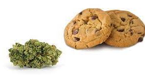 100mg Chocolate Chip Cookie - TB