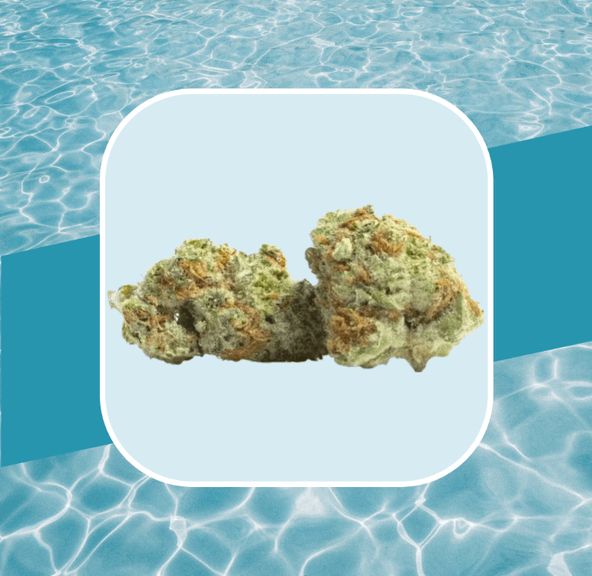 Clementine Kush 3.5g Flower (@jarcannabis2.0)