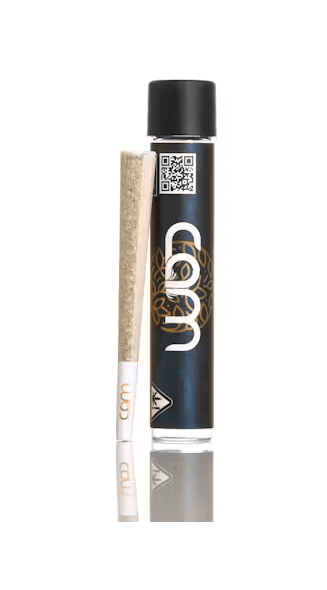 CAM | Cactus Cooler Pre-Roll (1g)
