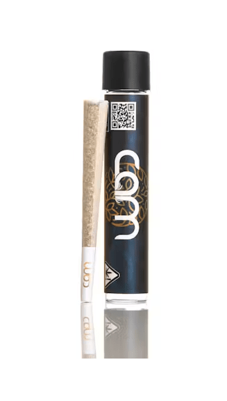 CAM | Cactus Cooler Pre-Roll (1g)