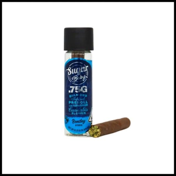 Sugar Babies Bentley Mini Blunt .75g