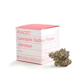 Phases Flower Vibration Hawaiian Headband 3.5g