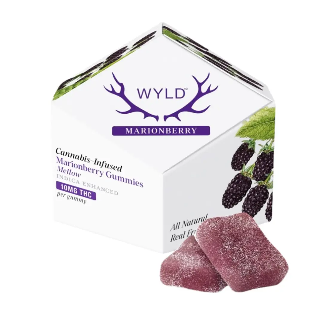 Wyld Fruit Chews Marionberry 100mg