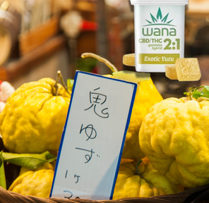 Exotic Yuzu 2:1 - Wana - 100MG/10PK