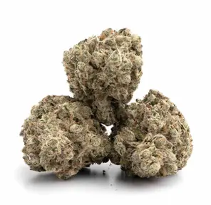 Black Ice OG