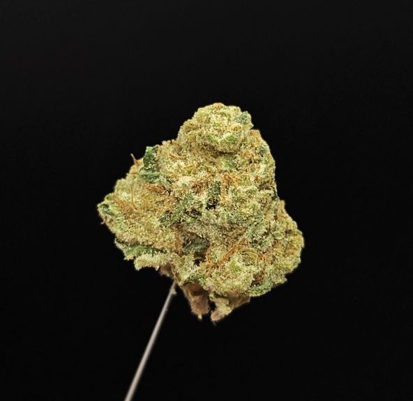 West Coast Treez - Banana Punch 3.5g