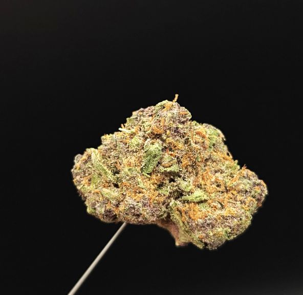 West Coast Treez - Tropicana Cookies 3.5g