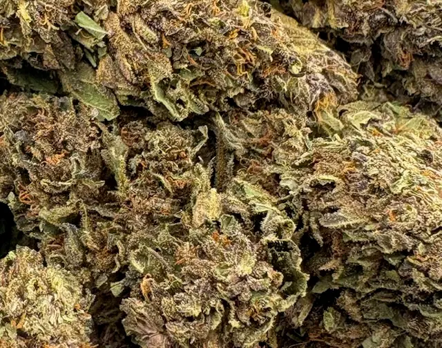 14G - MIDNIGHT MONSOON (AA+)