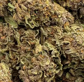 14G - MIDNIGHT MONSOON (AA+)