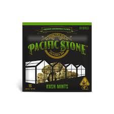 Pacific Stone- Kush Mints Pouch 1g (H)