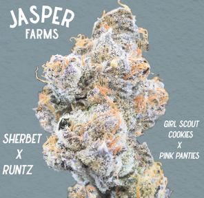 Sherbet Runtz Flower