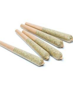 Lemonade - Sour Mango Prerolls 5pk (2.5g)