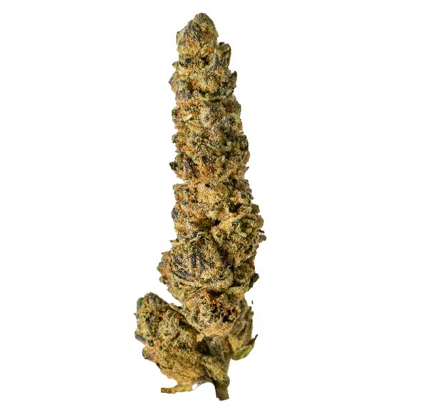 Buddha Kings Gushers