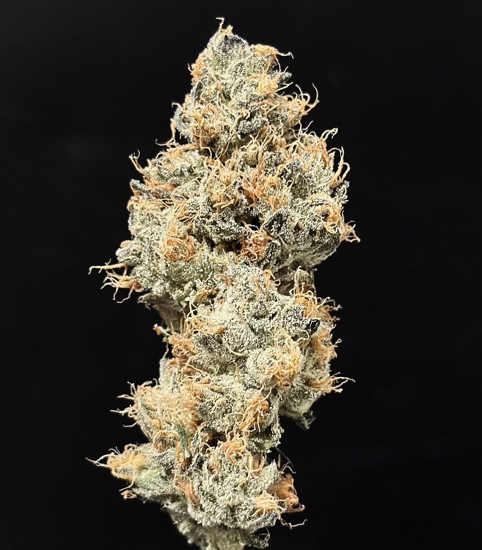 Alt Sol | Tahiti Twist - Flower | 14g | Hybrid