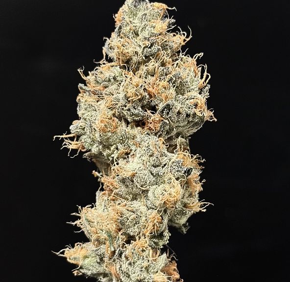 Alt Sol | Tahiti Twist - Flower | 14g | Hybrid