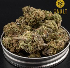 AA+ | SNOW WHITE | 2oz FOR $100 ⭐️ NEW ARRIVAL ⭐️