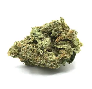 Jack Herer
