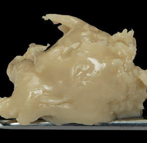 MASTER MAKERS COLD CURE FULL SPECTRUM- 1G GARLIC JUICE