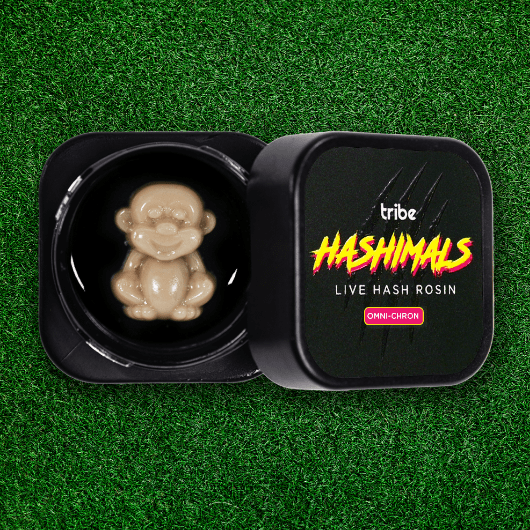 Omni-Chron - Hashimals - Live Hash Rosin - Monkey