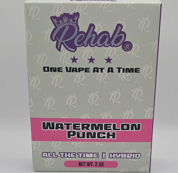 Rehab - Disposable - Watermelon Punch - 2.5G
