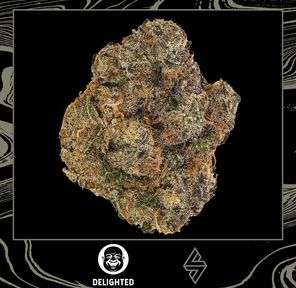 Delighted | Lemon Lavender (Premium) | 3.5g