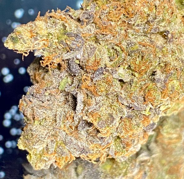 (4*.) Caviar Gold *THC 33%!!! ON SPECIAL no additional discounts* (Hybrid)