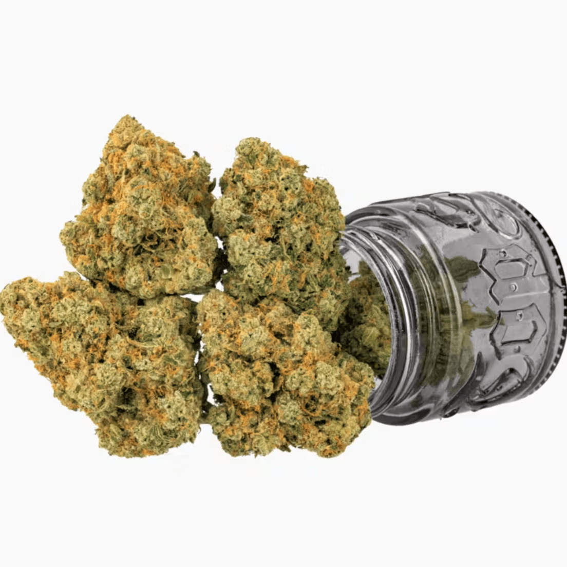 TOP SHELF CULTIVATION- 3.5 PRESIDENTIAL RUNTZ