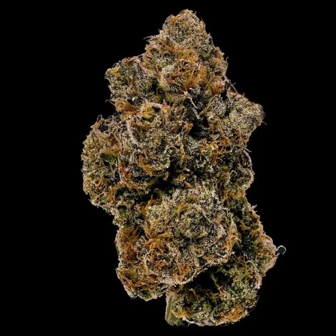 Cookies (Cultivated by DC's Finest) | Cereal a la Mode - Flower | 3.5g | Hybrid