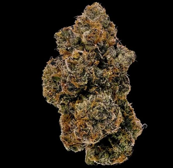 Cookies (Cultivated by DC's Finest) | Cereal a la Mode - Flower | 3.5g | Hybrid